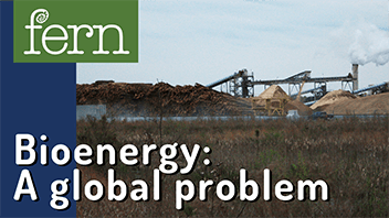 What is bioenergy? A global problem