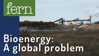 What is bioenergy? A global problem