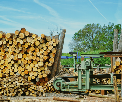 Extractivism, wood burning and a missed opportunity: the EU Bioeconomy Strategy