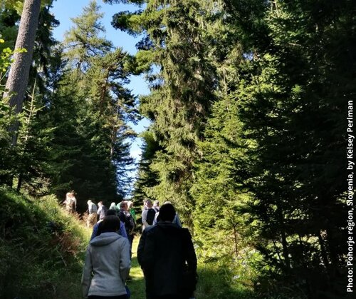 Ministries split on the Forest Strategy