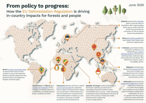 From policy to progress: How the EU Deforestation Regulation is driving in-country impacts for forests and people
