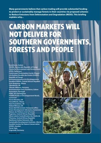 Why carbon markets will not deliver for Southern governments, forests and people