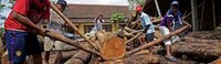 EU holds its ground on legality standards for Indonesian timber