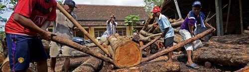 EU holds its ground on legality standards for Indonesian timber