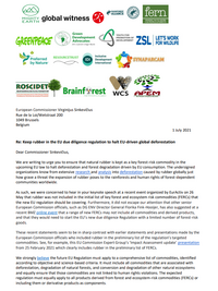 NGOs urged Commissioner Sinkevičius to keep rubber in the EU due diligence regulation to halt EU-driven global deforestation