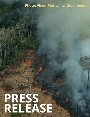 NGOs call for new laws to end the EU’s complicity in Amazon fires