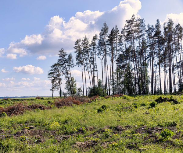 Discussions on weakening 2040 climate targets move on
