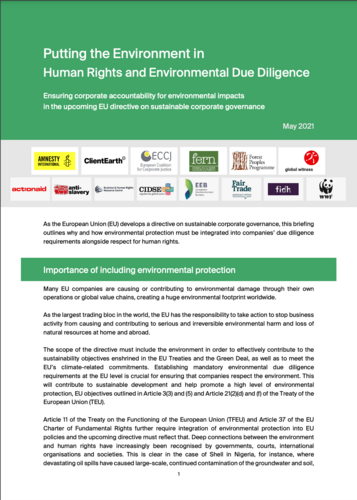 Putting the Environment in Human Rights and Environmental Due Diligence