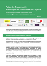 Putting the Environment in Human Rights and Environmental Due Diligence
