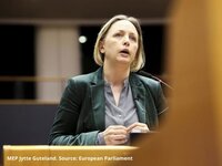EU Climate Law report remains dangerously vague on the role of ‘negative emissions’