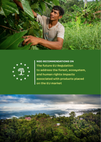 NGO recommendations on the future EU Regulation to address the forest, ecosystem, and human rights impacts associated with products placed on the EU market