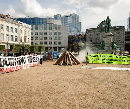 RED Revision: Will EU countries stop paying energy companies to burn forests?