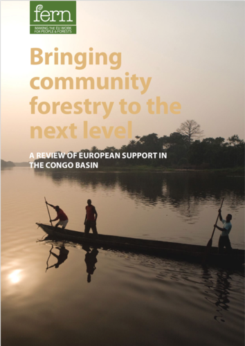 Bringing community forestry to the next level: A review of European support in the Congo Basin