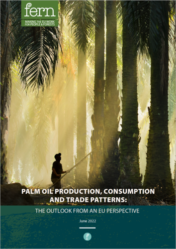 Palm oil production, consumption and trade patterns: The outlook from an EU perspective