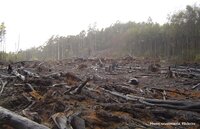 Cleaning up the EU’s own backyard