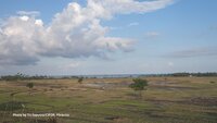 Climate Ambition Summit: How ambitious was it for forests?