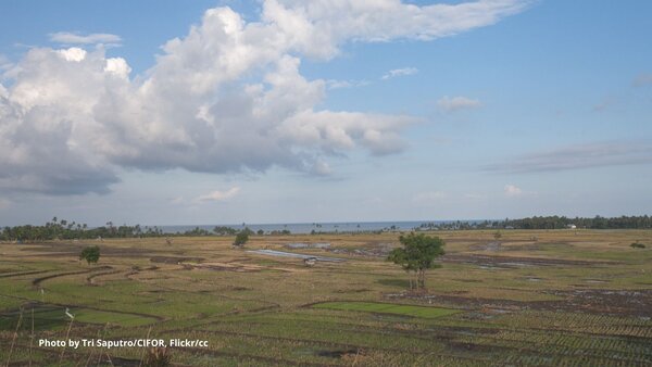 Climate Ambition Summit: How ambitious was it for forests?