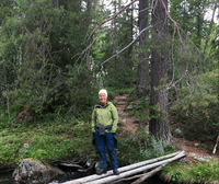 Church of Sweden could lead EU towards truly sustainable forestry