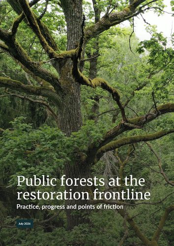 Public forests at the restoration frontline: Practice, progress and points of friction