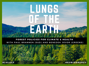 Lungs of the Earth – forest policies for health and climate