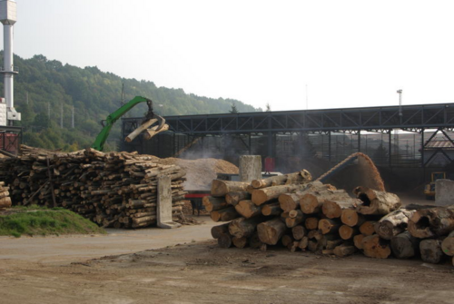 Lawsuit seeks to remove forest biomass from EU's renewable energy directive