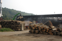 Lawsuit seeks to remove forest biomass from EU's renewable energy directive
