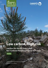 Low carbon, high risk