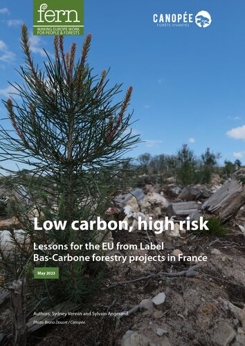 Low carbon, high risk