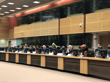 Congo Basin meeting in Brussels: time for stronger action