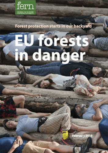 EU forests in danger: Forest protection starts in our backyard