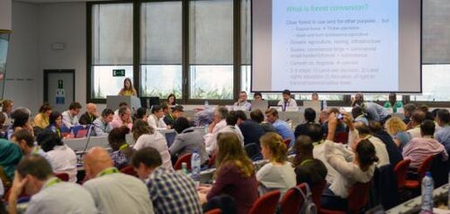 Anxiety grows as Commission shifts towards ‘soft’ approach on deforestation
