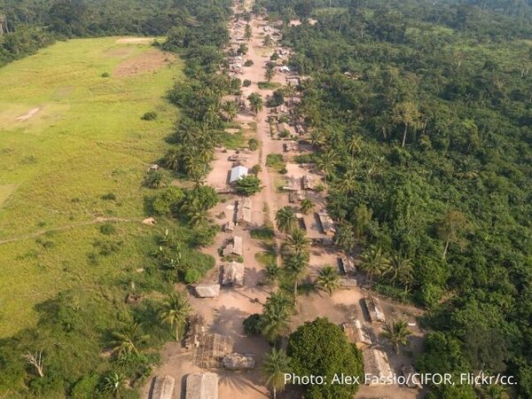 Ending corruption, improving forest governance: why it matters