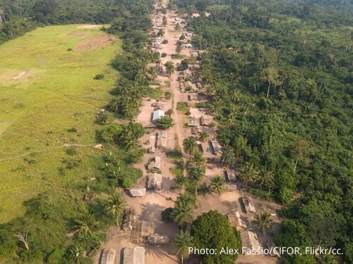 Ending corruption, improving forest governance: why it matters