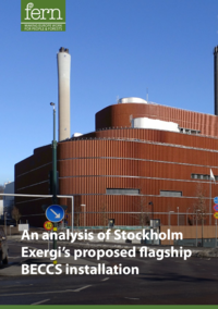 An analysis of Stockholm Exergi’s proposed flagship BECCS installation