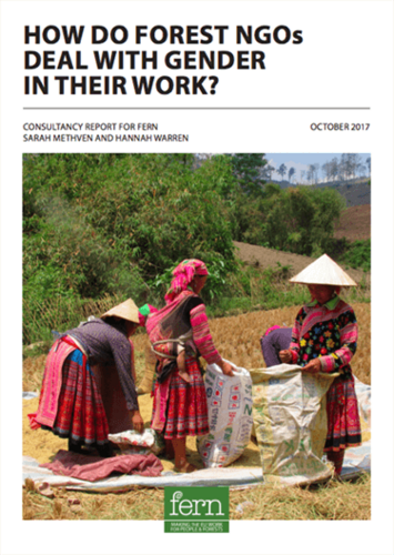 How do forest NGOs deal with gender in their work?