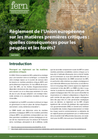 Règlement de l’Union européenne sur les matières premières critiques : quelles conséquences pour les peuples et les forêts?