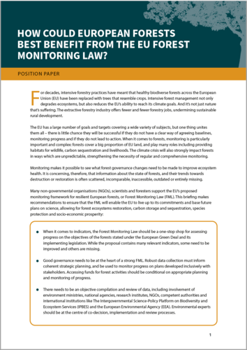 How could European forests best benefit from the EU Forest Monitoring Law?