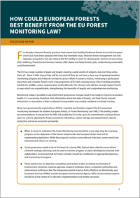 How could European forests best benefit from the EU Forest Monitoring Law?