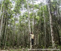 What does the new Intergovernmental Panel on Climate Change Synthesis report mean for people and forests?