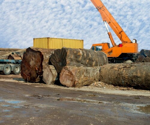 FLEGT VPA paved the way for the US-Vietnam Timber Agreement
