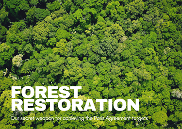 Forest restoration - Our secret weapon for achieving the Paris Agreement targets