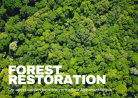 Forest restoration - Our secret weapon for achieving the Paris Agreement targets