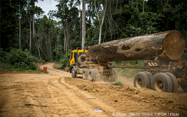 Republic of Congo’s controversial road
