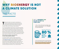 Why bioenergy is not a climate solution
