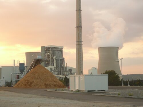 The International Energy Agency's Net Zero Plan threatened by the 'false climate solution' of bioenergy, say scientists and NGOs