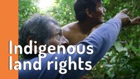 3 reasons land tenure is vital for forests, people and the planet