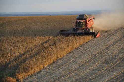 New proposal for Common Agricultural Policy – a slap in the face for the environment