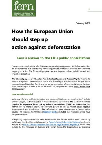 How the European Union should step up action against deforestation - Fern's submission to the EU Consultation on deforestation