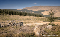 A sustainable bioeconomy for Europe?