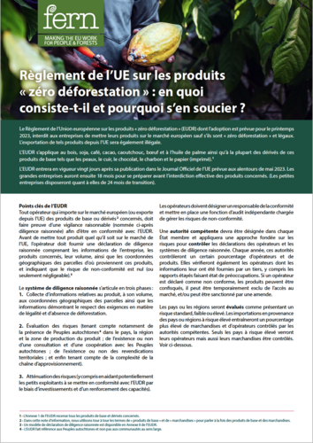 Règlement de l’UE sur les produits « zéro déforestation » : en quoi consiste-t-il et pourquoi s’en soucier ?